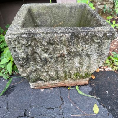 Two Large Planters and More (DG-BM)