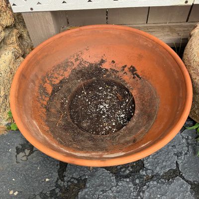 Thai Elephant Plant Pot & Various Terracotta Pots (DG-BM)