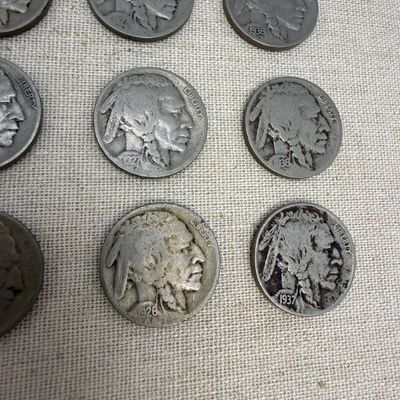 Buffalo Nickels (ST-BM)