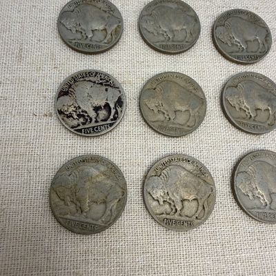 Buffalo Nickels (ST-BM)