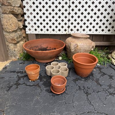 Thai Elephant Plant Pot & Various Terracotta Pots (DG-BM)
