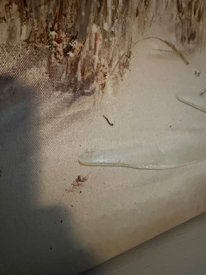 Large Canvas Beach Scene Print (LR-MG)