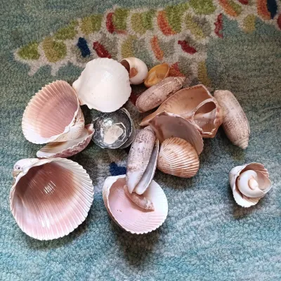 LOT 144: Beach-Themed Decor