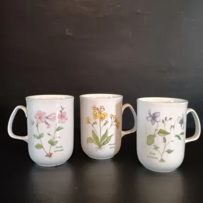 LOT 256: Garden Party Collection - Rose of England Mugs, Enameled Wine Glasses, Grace Tea Ware Mugs & More