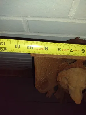 Wooden Wall Corner Display Shelf with Dog Design- Approx 10" Wide, 17" Tall