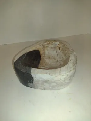 Petrified Wood Dish- Approx 8" x 6 3/4"