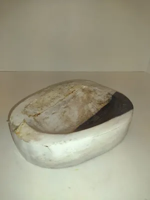 Petrified Wood Dish- Approx 8" x 6 3/4"