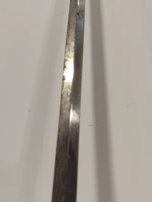 Antique 19th Century T.D. Gard Co (Worcester, Mass) Worcester Continentals Militia and Ceremonial Sword with Sheath (B).