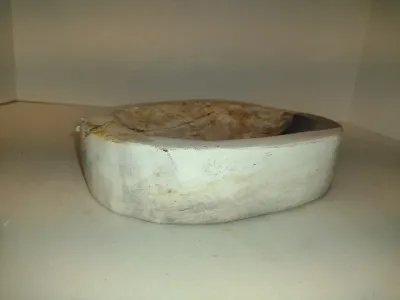 Petrified Wood Dish- Approx 8" x 6 3/4"