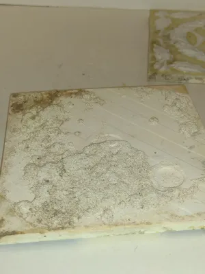 Collection of Glazed Tiles- Assorted Designs, Some Art Nouveau- Eight Pieces- Each Approx 6" Square (Set A)