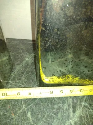 Pair of Mercury Glass Table Top Lamps