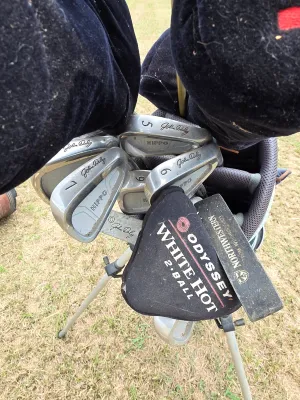 Sale Photo Thumbnail #200: John Daly set
14 clubs