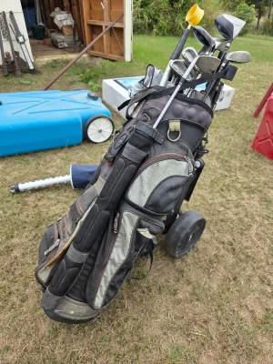Sale Photo Thumbnail #209: 14 clubs on wheels