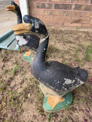 Sale Photo Thumbnail #176: One has damaged neck