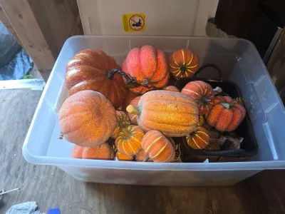 Sale Photo Thumbnail #393: Tote of pumpkins