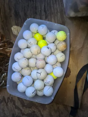 Sale Photo Thumbnail #441: Lots of balls. Like at least 10