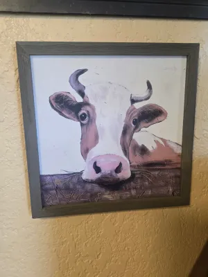Sale Photo Thumbnail #50: 12x12