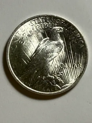1924-P UNCIRCULATED CONDITION PEACE SILVER DOLLAR COIN-24C AS PICTURED.