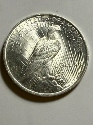 1923-P UNCIRCULATED CONDITION PEACE SILVER DOLLAR COIN-81V AS PICTURED.