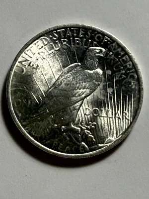 1924-P UNCIRCULATED CONDITION PEACE SILVER DOLLAR COIN-93A AS PICTURED.