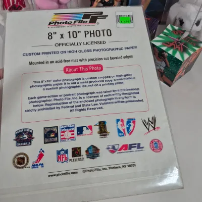 LOT 196Z: WWF Divas of Wrestling Collection with Sable, Sunny, Chyna & More
