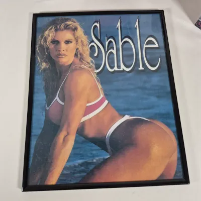 LOT 196Z: WWF Divas of Wrestling Collection with Sable, Sunny, Chyna & More