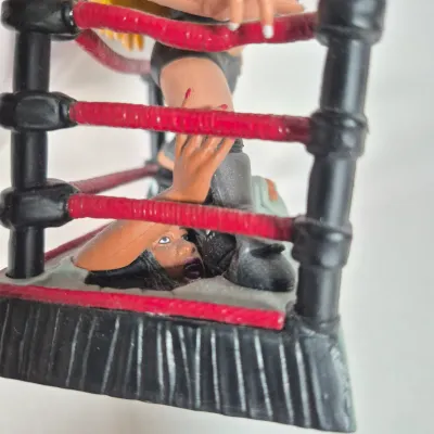 LOT 196Z: WWF Divas of Wrestling Collection with Sable, Sunny, Chyna & More
