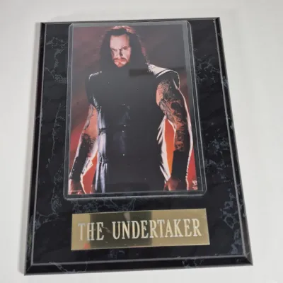 LOT 195Z: WWF Collection with Kane, Undertaker, Sting & More