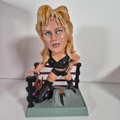 LOT 196Z: WWF Divas of Wrestling Collection with Sable, Sunny, Chyna & More