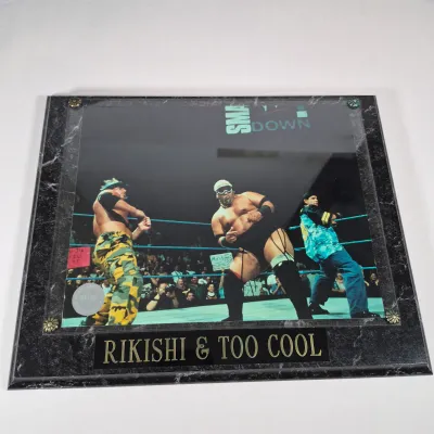 LOT 192Z: Stone Cold & The Rock Autographed Plaques, 1999 WWF WrestleMania T-Shirt & More
