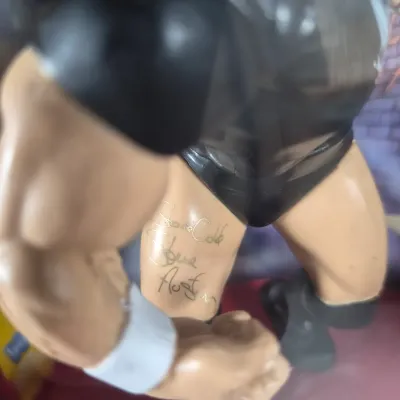 LOT 194Z: WWF Hollywood Hulk Hogan & Stone Cold Steve Austin Collection with Autographed T-shirt by HHH & Steve Austin