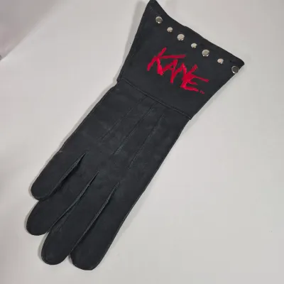 LOT 195Z: WWF Collection with Kane, Undertaker, Sting & More