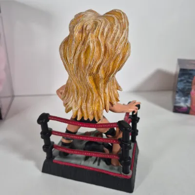 LOT 196Z: WWF Divas of Wrestling Collection with Sable, Sunny, Chyna & More