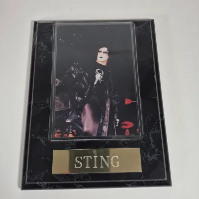 LOT 195Z: WWF Collection with Kane, Undertaker, Sting & More