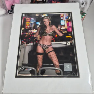 LOT 196Z: WWF Divas of Wrestling Collection with Sable, Sunny, Chyna & More