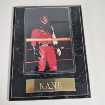 LOT 195Z: WWF Collection with Kane, Undertaker, Sting & More