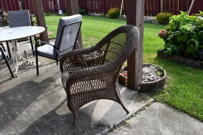 Sale Photo Thumbnail #925: 924 back yard