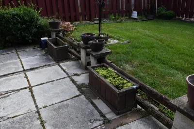 Sale Photo Thumbnail #931: 930 back yard