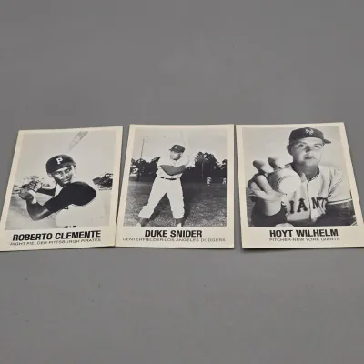 LOT 80: Collection of 1977 TCMA Renata Galasso Baseball Cards