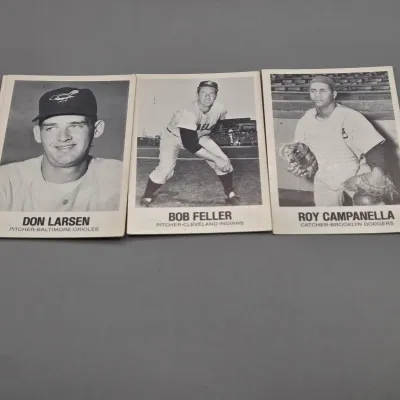 LOT 80: Collection of 1977 TCMA Renata Galasso Baseball Cards