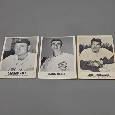 LOT 80: Collection of 1977 TCMA Renata Galasso Baseball Cards