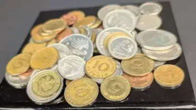 Vintage German Coin Collection