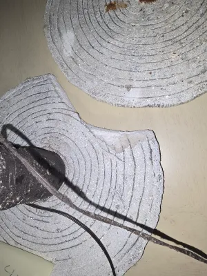 Sale Photo Thumbnail #63: 2qty  72" and 48" base is broken on short tree