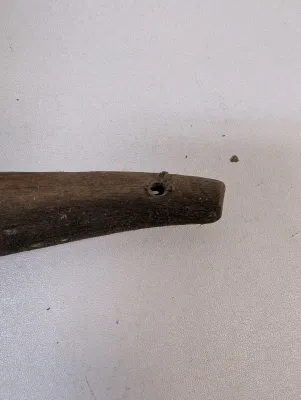 Antique Animal Skull