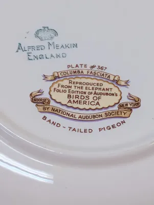 Alfred Meakin England The National Audubon's Birds Of America Plates
