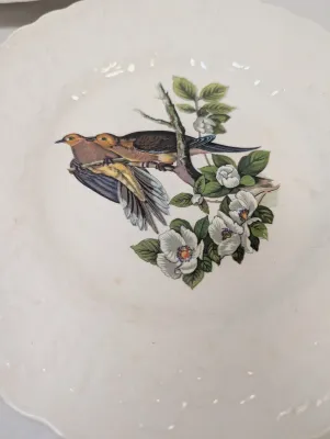 Alfred Meakin England The National Audubon's Birds Of America Plates