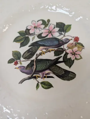Alfred Meakin England The National Audubon's Birds Of America Plates