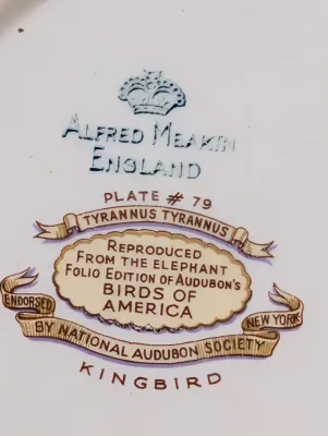 Alfred Meakin England The National Audubon's Birds Of America Plates