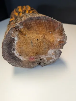 10" Wooden Carved Bear - Possibly Carved With A Chainsaw