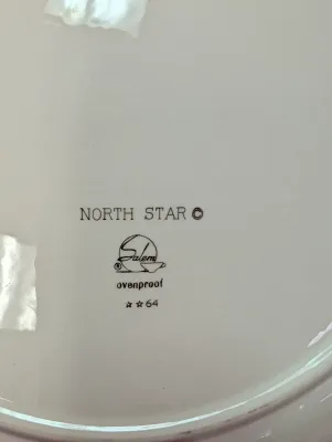 75 Pieces Of Vintage Salem Atomic North Star Starburst Turquoise Dishes